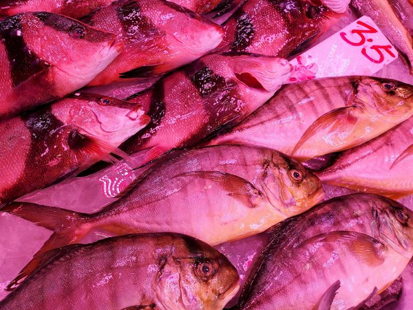 Comparateur mutuelle : trouvez la meilleure offre santé en 2024